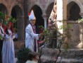 /album/les-images-de-%22medievales-du-clo%c3%aetre-de-frejus%22/mc-020-jpg/